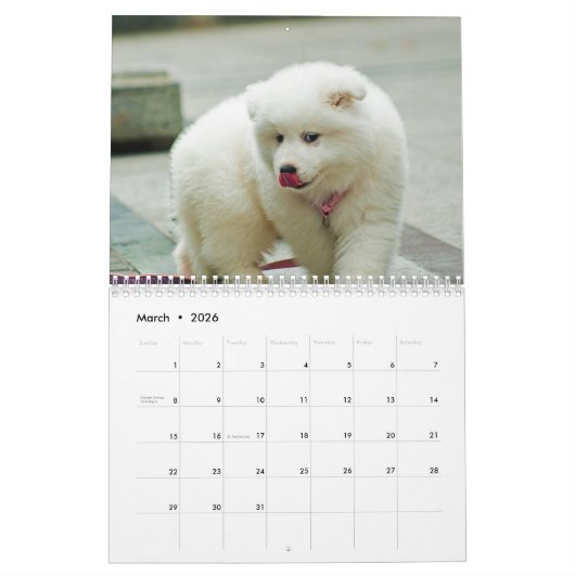 2025 Samojeed Hond Kalender (Mar 2026)