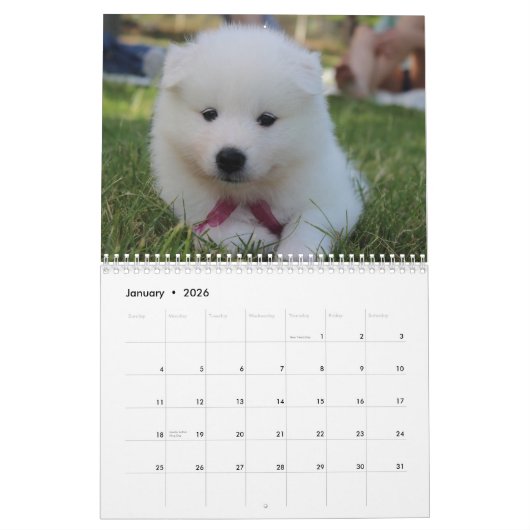 2025 Samojeed Hond Kalender (Jan 2026)
