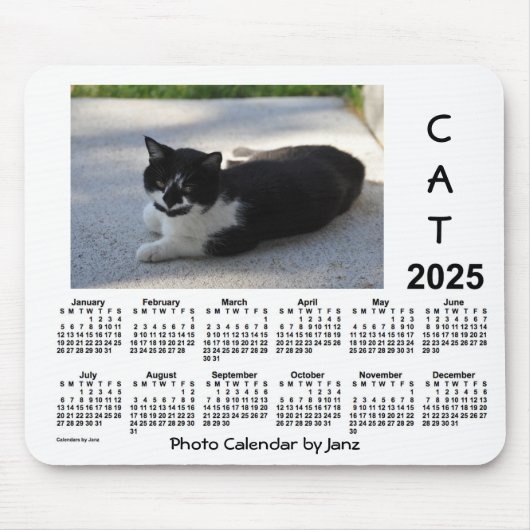 2025 Sassy Cat Photo Calendar van Janz Muismat (Voorkant)