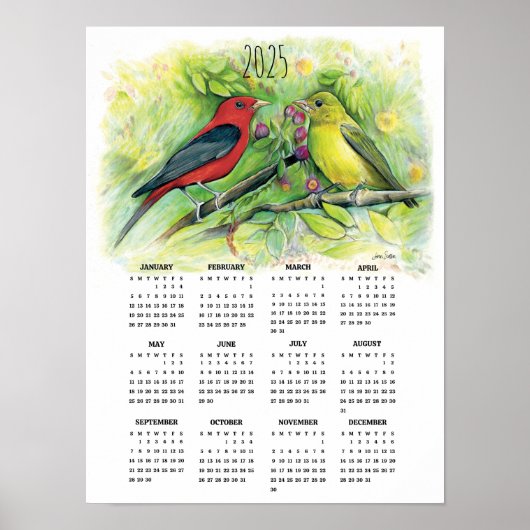 2025 Scarlet Tanager Paar Kalenderposter  Poster (Voorkant)