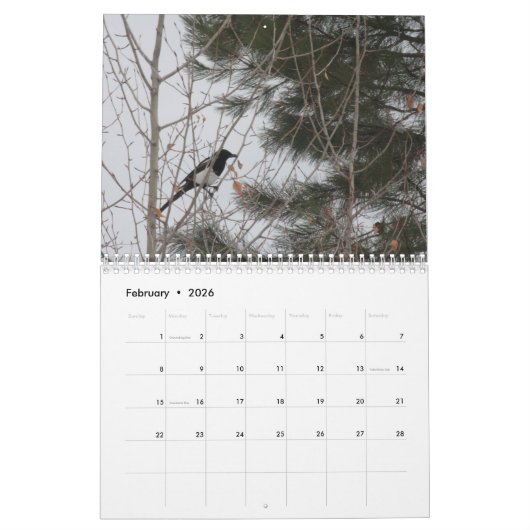 2025 Schilderachtig Wilderness Landschapskalender Kalender (Feb 2026)