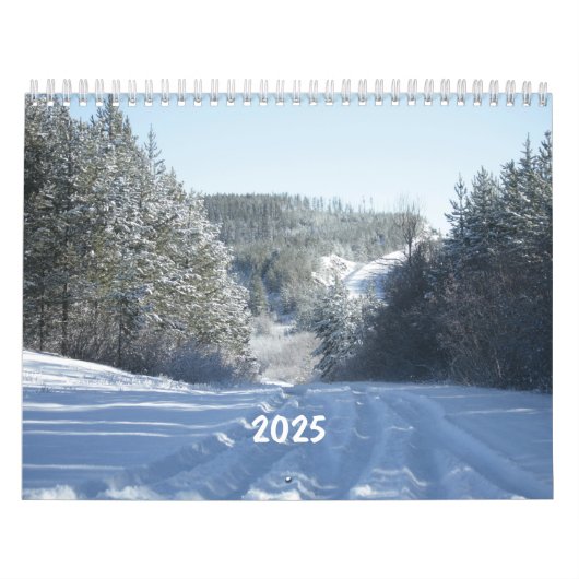 2025 Schilderachtig Wilderness Landschapskalender Kalender (Hoes)