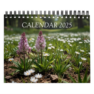 2025 Schitterende Wandkalender Kalender