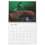 2025 SeaHorse fotowedstrijd kalender (Mar 2026)