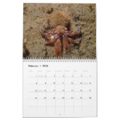 2025 SeaHorse fotowedstrijd kalender (Feb 2026)