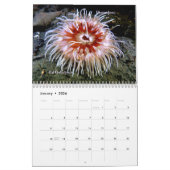 2025 SeaHorse fotowedstrijd kalender (Jan 2026)