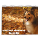 2025 Shetland Sheepdog Kalender (Hoes)