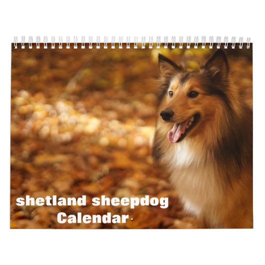 2025 Shetland Sheepdog Kalender (Hoes)