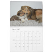 2025 Shetland Sheepdog Kalender (Mar 2027)