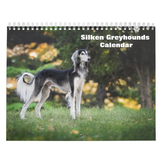 2025 Silken Greyhounds Puppies Kalender (Hoes)