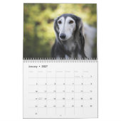 2025 Silken Greyhounds Puppies Kalender (Jan 2027)