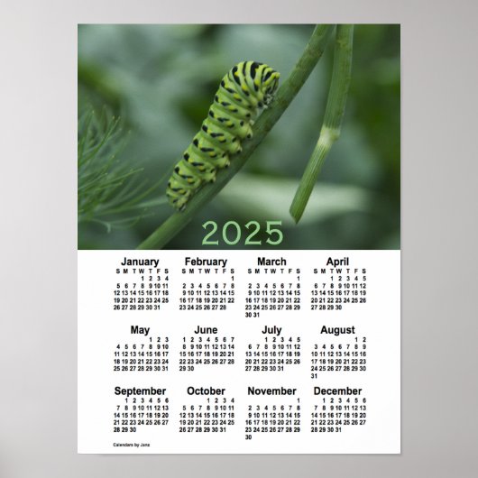 2025 Slim Tail Caterdepijlerkalender door Janz Poster (Voorkant)