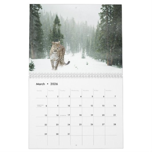 2025 Sneeuwluipaard Kalender (Mar 2026)