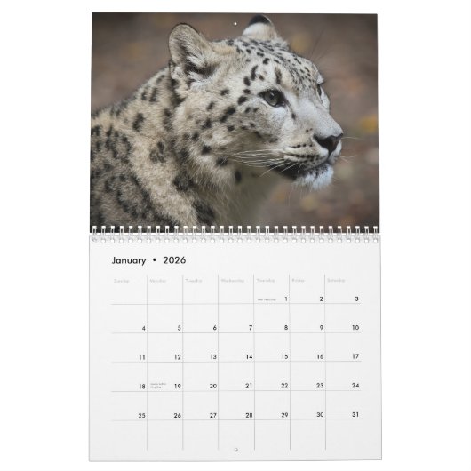 2025 Sneeuwluipaard Kalender (Jan 2026)