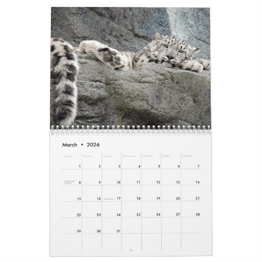 2025 Sneeuwluipaardkalender Kalender (Mar 2026)