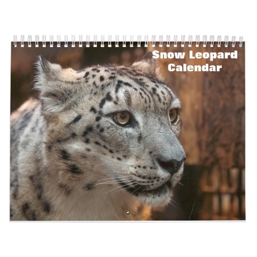 2025 Sneeuwluipaardkalender Kalender (Hoes)