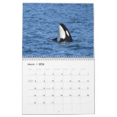 2025 Southern Resident Killer Whale Kalender (Mar 2026)