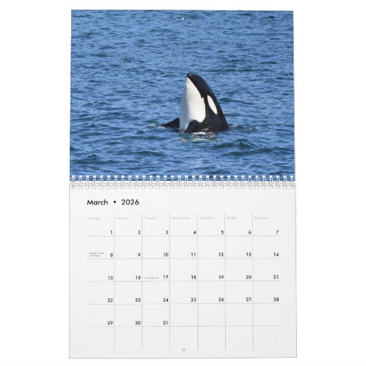 2025 Southern Resident Killer Whale Kalender (Mar 2026)