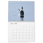 2025 Southern Resident Killer Whale Kalender (Jan 2026)