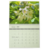 2025 Tollerton Tuinen Kalender (Jan 2027)