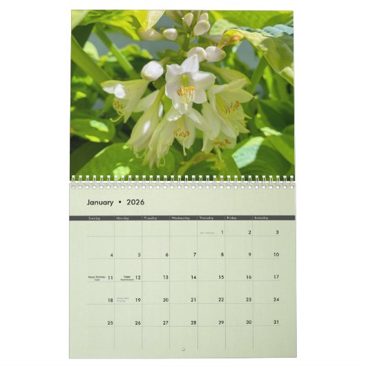 2025 Tollerton Tuinen Kalender (Jan 2026)