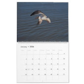 2025 Tropische kalender, Strandvogels in het parad Kalender (Jan 2026)