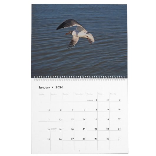 2025 Tropische kalender, Strandvogels in het parad Kalender (Jan 2026)