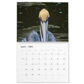 2025 Tropische kalender, Strandvogels in het parad Kalender (Mar 2026)