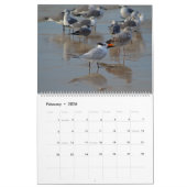 2025 Tropische kalender, Strandvogels in het parad Kalender (Feb 2026)