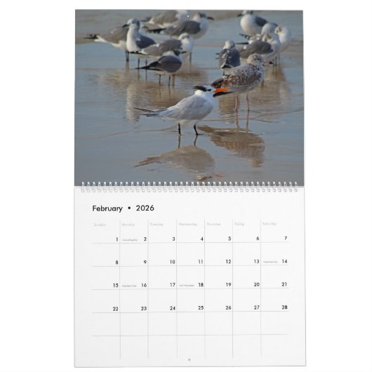 2025 Tropische kalender, Strandvogels in het parad Kalender (Feb 2026)