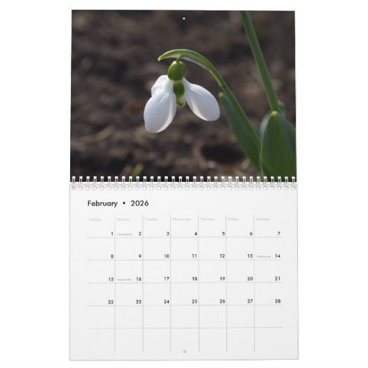 2025 Uit Lin's Tuinkalender Kalender (Feb 2026)