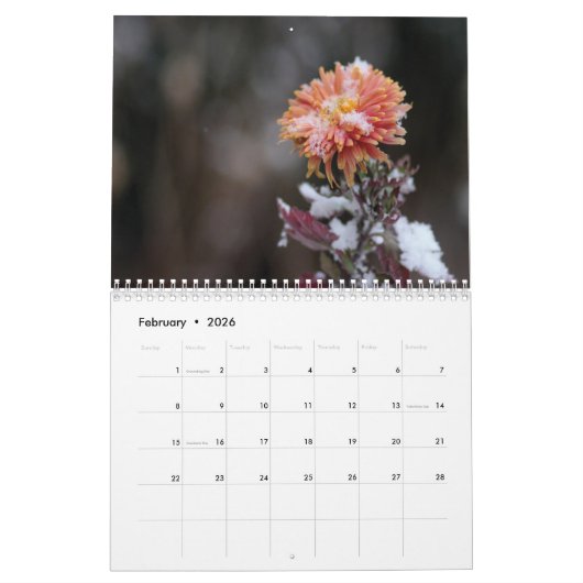 2025 Vier seizoenen bloemen kalender (Feb 2026)