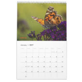 2025 Vlinder Een Pagina Kalender (Jan 2027)
