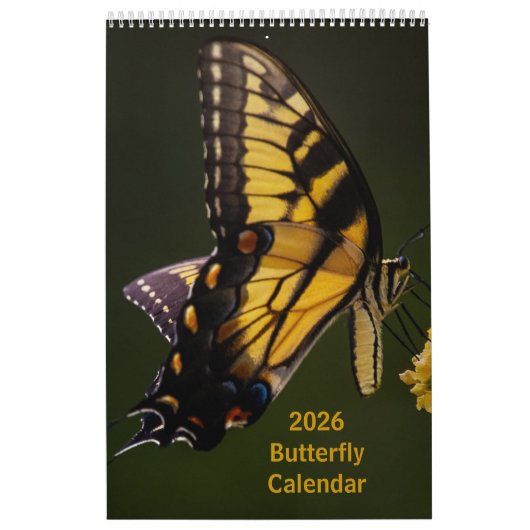 2025 Vlinder Een Pagina Kalender (Hoes)
