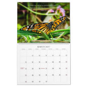2025 Vlinderboek van Psalmen Kalender (Mar 2027)