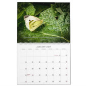 2025 Vlinderboek van Psalmen Kalender (Jan 2027)