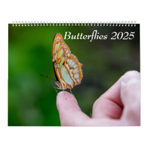2025 Vlinders Kalender