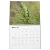 2025 Vogelkalender Kalender (Mar 2027)