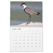 2025 Vogelkalender Kalender (Jan 2027)