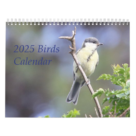 2025 Vogelkalender Kalender (Hoes)