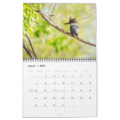 2025 Vogels van Vermont kalender (Mar 2027)