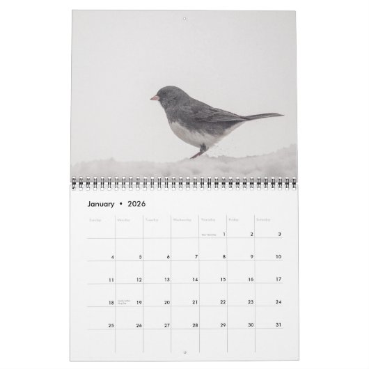 2025 Vogels van Vermont kalender (Jan 2026)