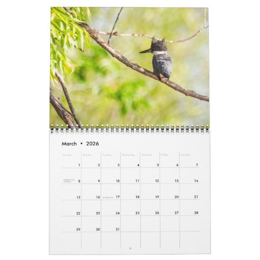2025 Vogels van Vermont kalender (Mar 2026)