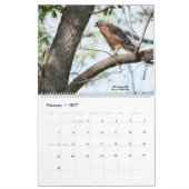 2025 Vogels voor Raptors Kalender (Feb 2027)