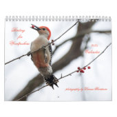 2025 Vogels voor spechten Kalender (Hoes)