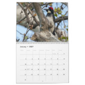 2025 Vogels voor spechten Kalender (Jan 2027)