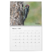2025 Vogels voor spechten Kalender (Feb 2027)