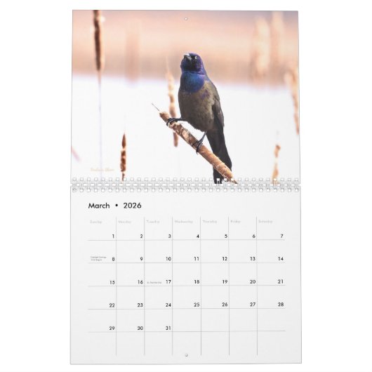 2025 Walden Pond/Concord Kalender (Mar 2026)