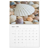 2025 Wall Seashell Kalender Gift (Mar 2026)