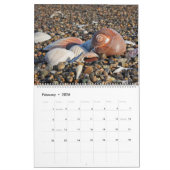2025 Wall Seashell Kalender Gift (Feb 2026)